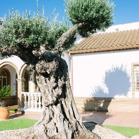 Casa Luxury "El Olivo De Cordoba" Con Jacuzzi Y Parking Privadoゲストハウス エクステリア 写真