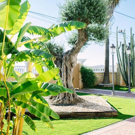 Casa Luxury "El Olivo De Cordoba" Con Jacuzzi Y Parking Privadoゲストハウス エクステリア 写真