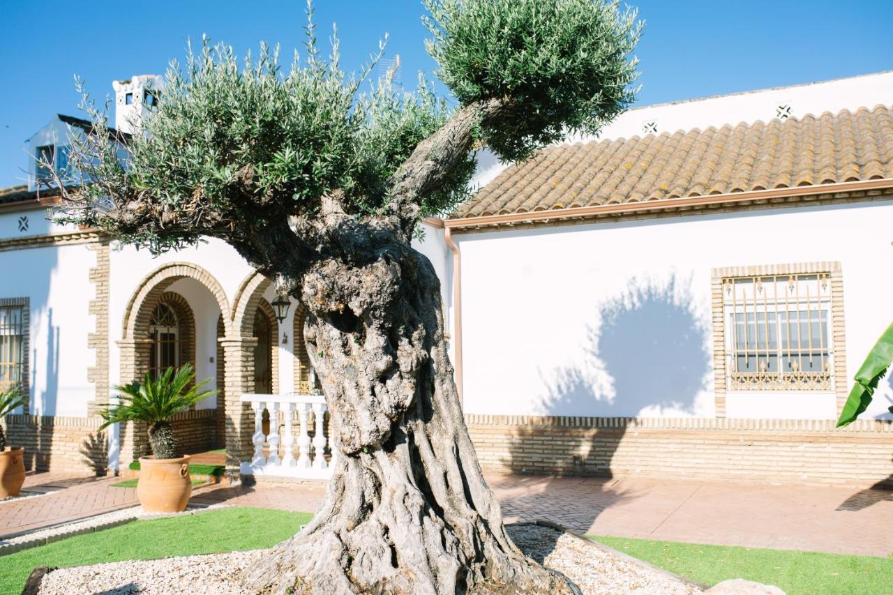 Casa Luxury "El Olivo De Cordoba" Con Jacuzzi Y Parking Privadoゲストハウス エクステリア 写真