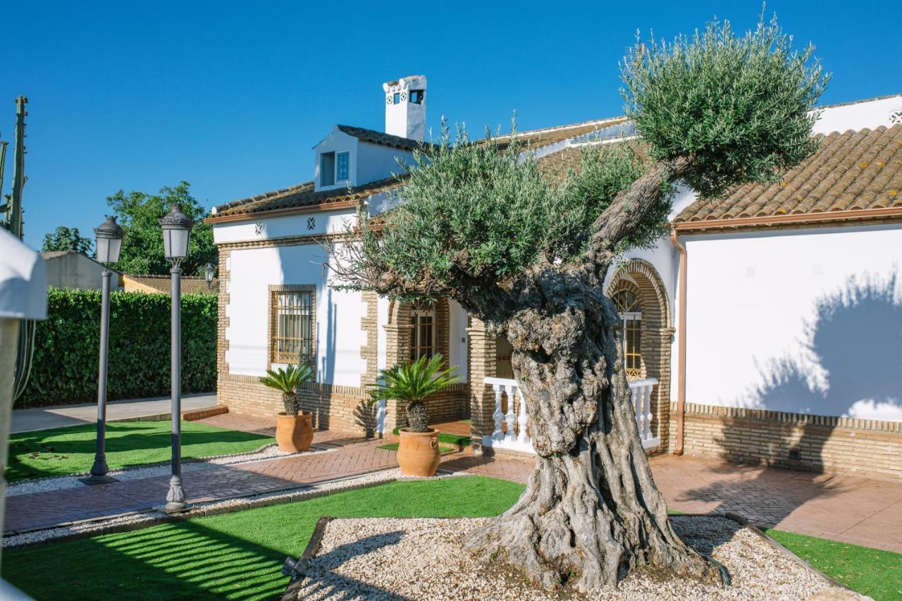Casa Luxury "El Olivo De Cordoba" Con Jacuzzi Y Parking Privadoゲストハウス エクステリア 写真