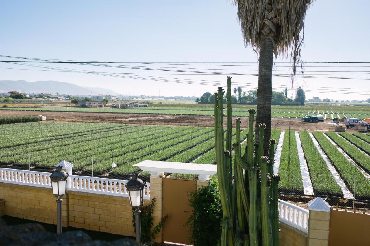 Casa Luxury "El Olivo De Cordoba" Con Jacuzzi Y Parking Privadoゲストハウス エクステリア 写真