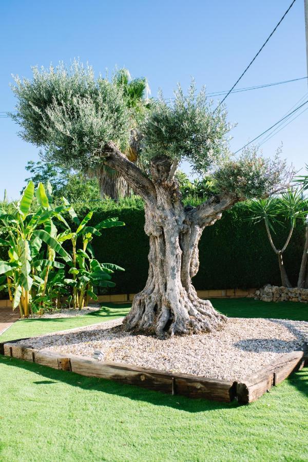 Casa Luxury "El Olivo De Cordoba" Con Jacuzzi Y Parking Privadoゲストハウス エクステリア 写真