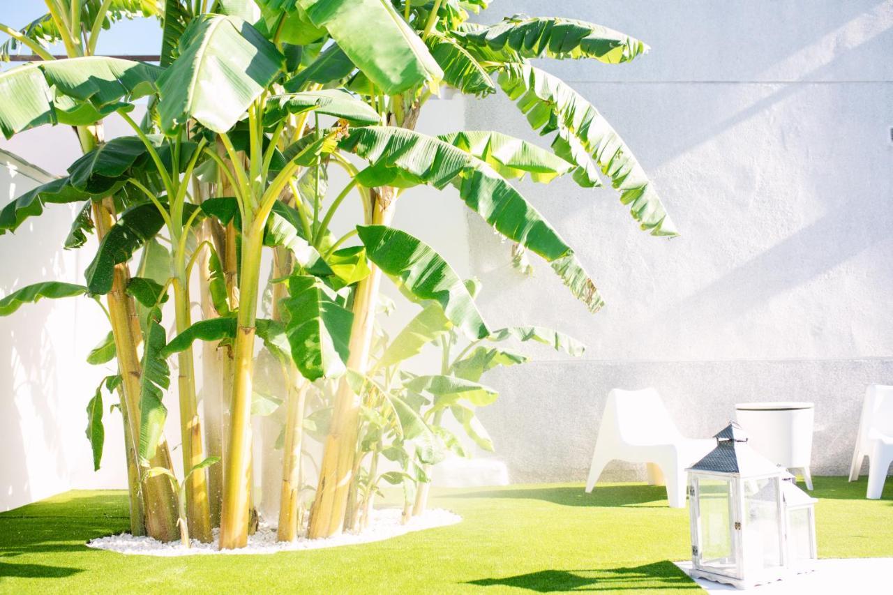 Casa Luxury "El Olivo De Cordoba" Con Jacuzzi Y Parking Privadoゲストハウス エクステリア 写真
